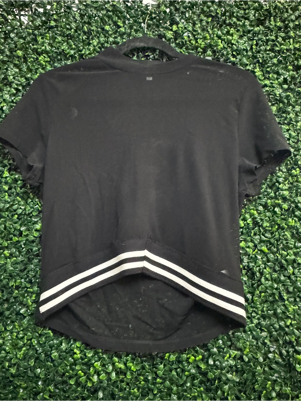 Charlotte Russe Black mesh Crop Tee with White Stripe Hem